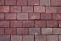 Red granite pavement texture
