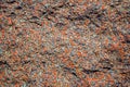 Red granite stone texture. Royalty Free Stock Photo