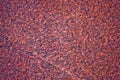 Red granite stone texture