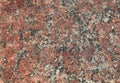 Red granite texture. A variegated, spotted background of red brown granite