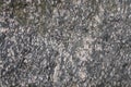 Red granite texture. A variegated, spotted background of red (brown) granite. The stone granite surface of brown