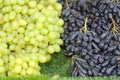 Red grap and green grap bunch Royalty Free Stock Photo