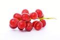 Red grape Royalty Free Stock Photo