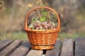 Red grape in brown wicker basket on wooden table