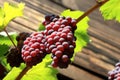Red grape bunch Royalty Free Stock Photo