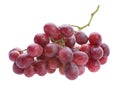 Red grape bunch Royalty Free Stock Photo