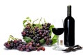 Red grape bunches and wine glass on white background. Royalty Free Stock Photo