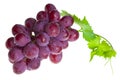 Red grape with foliage