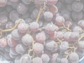 Red grape fruits, soft faded tone background