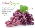 Red grape isolated Royalty Free Stock Photo