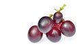 Red grape isolated Royalty Free Stock Photo