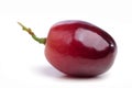 Red grape isolated. Royalty Free Stock Photo