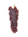 Red grape isolated on over white background Royalty Free Stock Photo