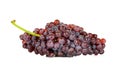 Red grape isolated on over white background Royalty Free Stock Photo