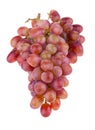 Red grape