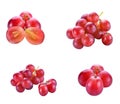 Red grape isolated white background Royalty Free Stock Photo