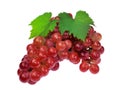 Red grape with leaf isolated on white background Royalty Free Stock Photo