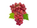 Red grape with leaf isolated on white background Royalty Free Stock Photo