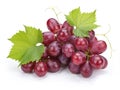 Red grape with leaf macro isolated on white background Royalty Free Stock Photo