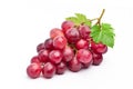 Red grape with leaves