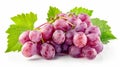 The red grape is ripe and the leaves are green. It is isolated on white with a clipping path. The depth of field is full Royalty Free Stock Photo