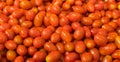 Red grape tomato background, two clipping paths included Royalty Free Stock Photo