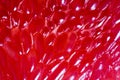 red grapefruit close up Royalty Free Stock Photo