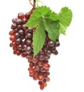 Red grapes Royalty Free Stock Photo