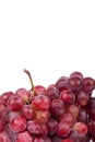 Red grapes Royalty Free Stock Photo