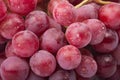 Red grapes Royalty Free Stock Photo