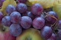 Red grapes, apples and leafes Royalty Free Stock Photo