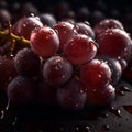red grapes background, ripe lilac purple appetizing grape berries in large drops of water,