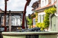 red grapes in a bin harvest Royalty Free Stock Photo