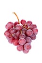 Red grapes bunch