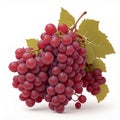 Red grapes bunch. Winery object, realistic grape isolated on white background. Fresh farm raw ingredient illustration. Black Royalty Free Stock Photo