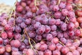 Red grapes bunches on farmer market Royalty Free Stock Photo