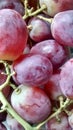 Red Grapes Royalty Free Stock Photo