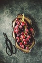 Red grapes in cupronickel platter on a gray background. Royalty Free Stock Photo