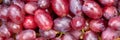 Red grapes grape fruits fruit background from above panorama