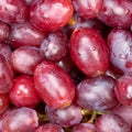 Red grapes grape fruits fruit background from above square