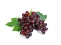 Red grapes and leaves isolated on white background Royalty Free Stock Photo