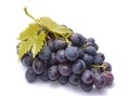 Red grapes with leaves Royalty Free Stock Photo
