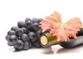 Red grapes with leaves and Wine bottle Royalty Free Stock Photo