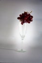 Red grapes placed in a wine glass in a white background Royalty Free Stock Photo