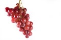 Red grapes with stalks isolated on white background Royalty Free Stock Photo