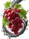red grapes in a vine splash Royalty Free Stock Photo