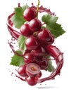 red grapes in a vine splash Royalty Free Stock Photo