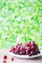 Bunch of red grapes on white plate, against green leaves background. space for text Royalty Free Stock Photo