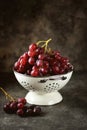 Red grapes in a white colander on a gray background. Royalty Free Stock Photo