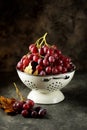 Red grapes in a white colander on a gray background. Royalty Free Stock Photo